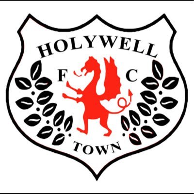 HolywellFCYouth's profile picture. We are a accredited club. We are a grassroots set up, that allows children to play and enjoy. We cater for teams U6-U19s. All kids deserves a chance to play🐊
