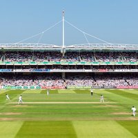 Cricketbean (@pblevene) 's Twitter Profile