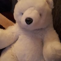 Eisbär Amadeus Ritter der Schnuffelrunde (@amadeuseisbar) 's Twitter Profile