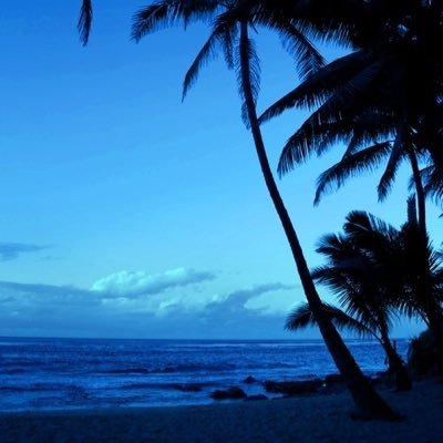 walwugayyan9's profile picture. 