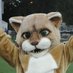 The Cougar (@bhsncoug) Twitter profile photo The Cougar (@bhsncoug) Twitter profile photo