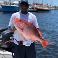 Chris Knox (@smmoothc1) 's Twitter Profile