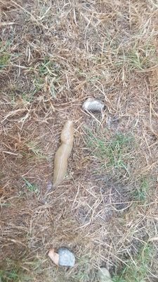 GaryByrnes7's profile picture. life