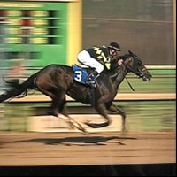 Six Column Stables (@sixcolumn) 's Twitter Profile