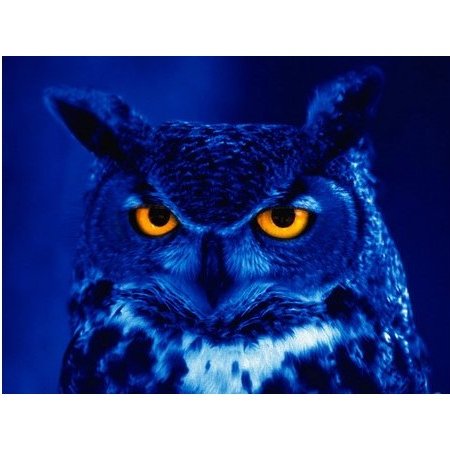 codemas18115151's profile picture. 