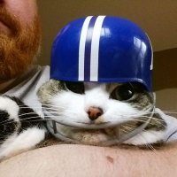 ☠RedDoubleBlue☠ (@reddoubleblue) 's Twitter Profile