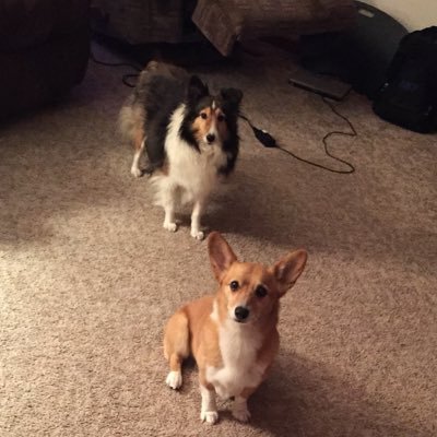 LisaLew29617879's profile picture. Mom of boys less drama than girls but harder to keep alive! Views are my own.