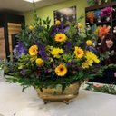 Deborah Summers - @Deborah50002586 - Twitter