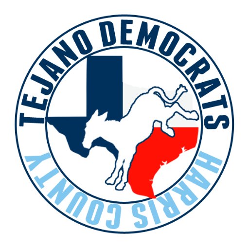 HCTD is a grassroots organization dedicated to Latino and Hispanic civic engagement in the Houston region.
