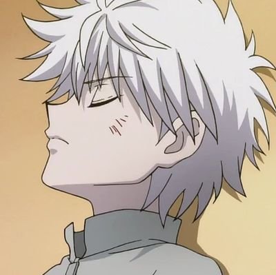 ♡*°✧｡. killugon enthusiast .｡✧°*♡
