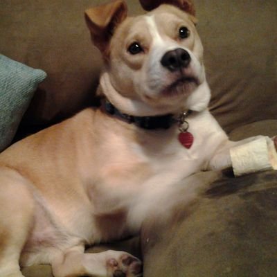 PennyForYourTh7's profile picture. Randomness - Kindness - Awesomeness