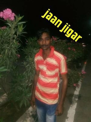 jigar