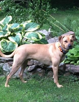 Coinexchange's profile picture. 