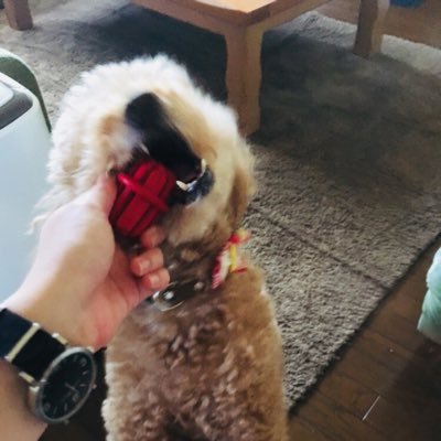 _shmclm's profile picture. 