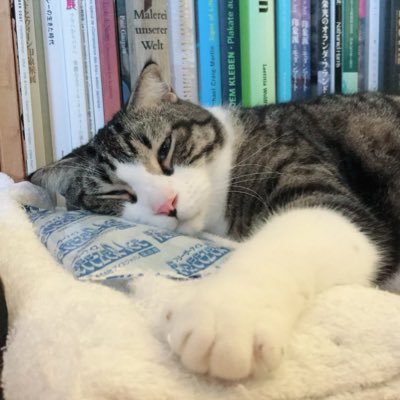 猫科動物🍰ラジオ番組P放送作家&出演【放送中】ならどっとFM『ひかりのくにPRESENTS ラジオ絵本おやすみのじかん』♪えふえむ草津『Whoopiepiez Dilicious Radio JAM ☆ Sun & Moon』『MUSIC CHRONICLE』ラヂオきしわだ『おはきし』☆ウメダFM『金曜はサシで』脚本