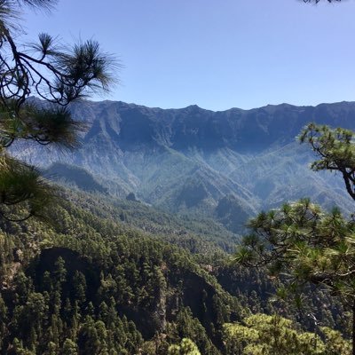 aduarterug's profile picture. 