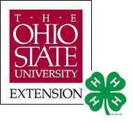 4-H stand fors Head, Heart, Hands, and Health, and tries to build a community of young adults to help kids learn about leadership, citizenship, and life skills.