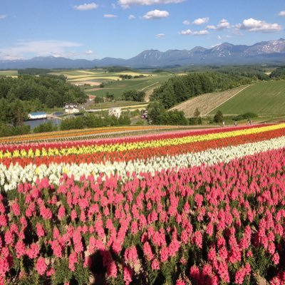 Kazua_Tsuki's profile picture. 