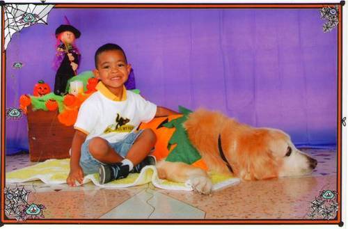 ottotovar's profile picture. 