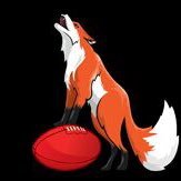 England Vixens (@englandvixens) 's Twitter Profile Photo