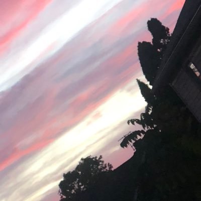 donewthisapp2's profile picture. .