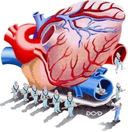 Departamento de Cardiología - Facultad de Medicina de la Universidad Autónoma de Guadalajara. Tweets por @rakqeru.