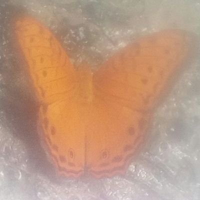 Rutus10's profile picture. 