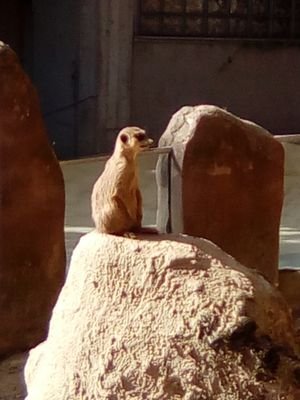 JurgenJohann's profile picture. Und plötzlich schepperts