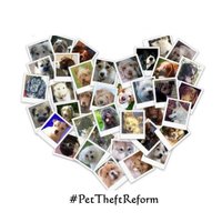 HelpFindThem (@helpfindthem14) 's Twitter Profile