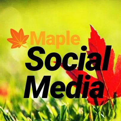 We help to flourish your business with our “MAPLE” SMM service👉Enlarge your small business, band, events in social media world!Dm/📩 us for more info!