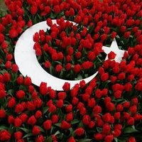 Azize (@azize09karatas) 's Twitter Profile