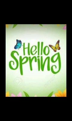 NtandazoX's profile picture. @@@@@@@@@@