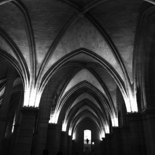 mccricricri's profile picture. J'habite chez Pamina et c'est une chance