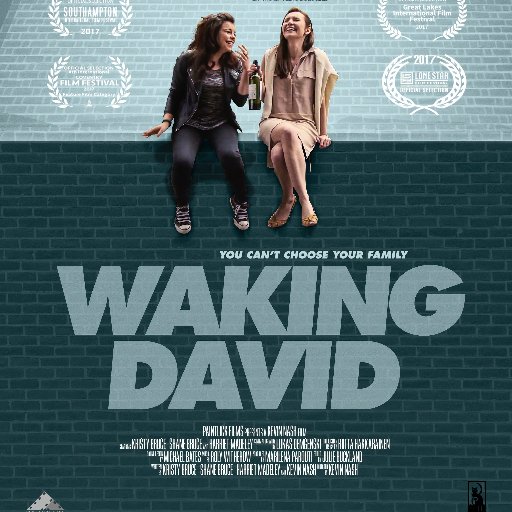 Waking David (2016) is a feature film // Produced by @MarilenaParouti // Directed by @KevinDirector // A @PaintLickFilms production