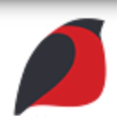 kra_gor's profile picture. Новости городского округа Красногорск