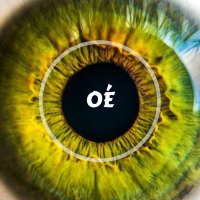 Óptica Enfurecida 👁 (@opticanfurecida) 's Twitter Profile