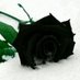 BlAcK rOsE (@dangjumpa13) Twitter profile photo BlAcK rOsE (@dangjumpa13) Twitter profile photo