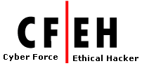 We are Developing a place where hackers and developers can meet and hence start a new generation and technology.

       @team cyber force india