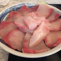 まるきとう@甲29 (@hissuaminosann1) Twitter profile photo