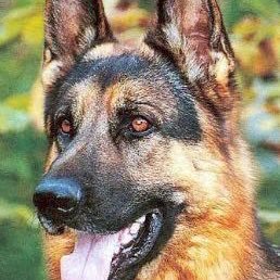 FuBo19562152's profile picture. 