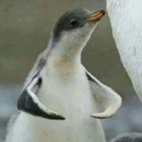 FlipTheCrypt (@trustdontver1fy) 's Twitter Profile Photo