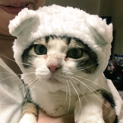 花音さんのプロフィール画像