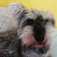 Jesusa (@jesusa79893816) 's Twitter Profile Photo Jesusa (@jesusa79893816) 's Twitter Profile Photo