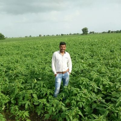 BrcDhrol's profile picture. 