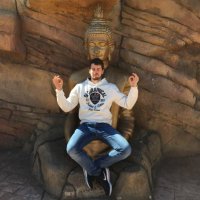 Luis de Vega Mrtnez (@luisde_vega) 's Twitter Profile