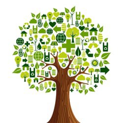 NEWprojects757's profile picture. We are the Norfolk Environmental Warriors! Our mission is to clean up Norfolk one area at a time, starting with The Hague.  Become a warrior too!