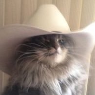 Hingle (@eightmoremiles) 's Twitter Profile Photo Hingle (@eightmoremiles) 's Twitter Profile Photo