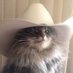 Hingle (@eightmoremiles) Twitter profile photo Hingle (@eightmoremiles) Twitter profile photo