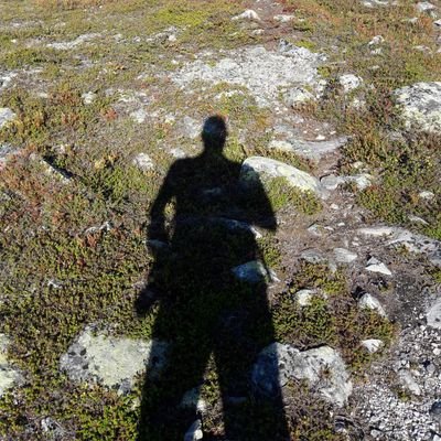 barca_boris's profile picture. Finns i ett polishus någonstans mitt i Sverige. Älskar AIK💛🖤