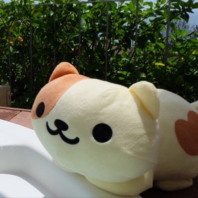 のあねこ🐍ただの猫好き🐈さんのプロフィール画像